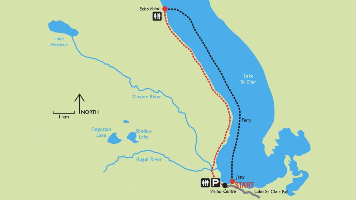 Echo Point shoreline of Lake St Clair 60 Great Short Walks Tasmania
