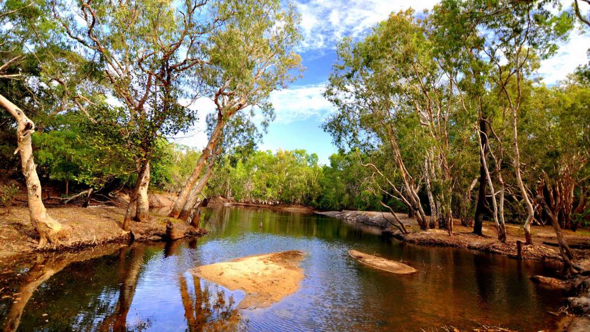 Lakefield National Park Cape York Peninsula, Queensland, Australia