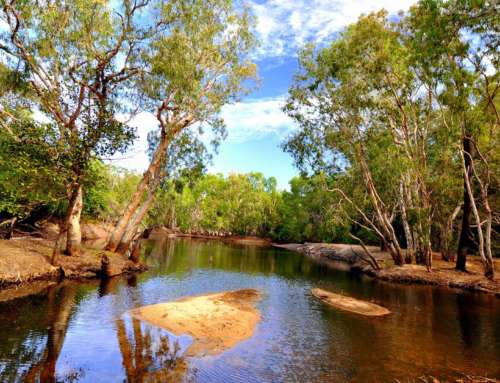 Lakefield National Park