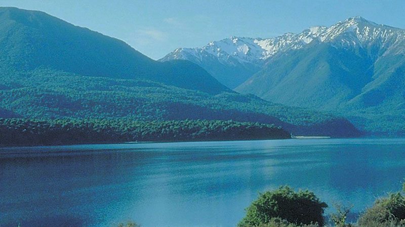New Zealand Forest Parks