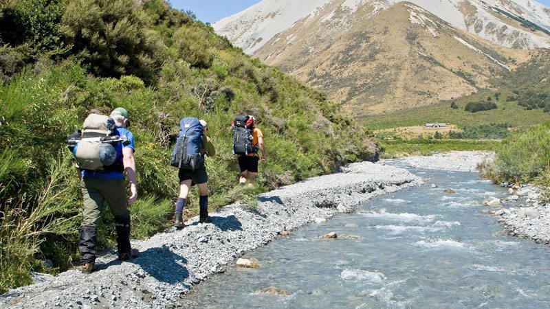 New Zealand Forest Parks Entrepreneur Decision Maker Connector Podcaster Educator