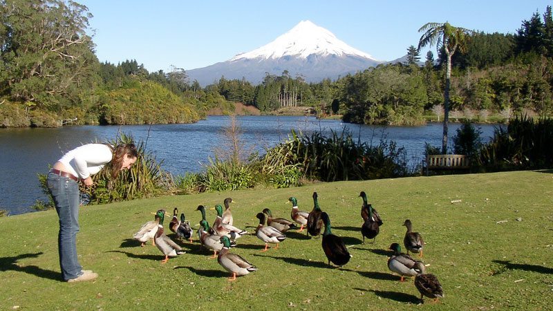 Free & Low Cost Activities - New Plymouth