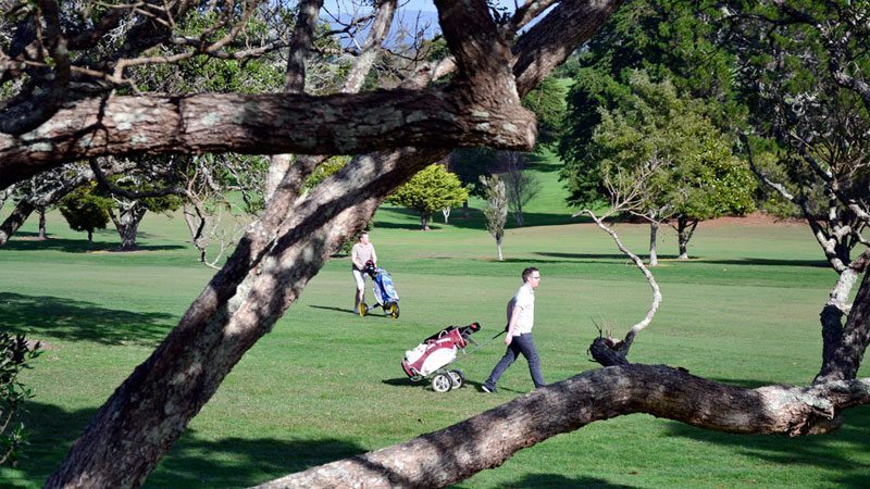 Golf Courses Auckland