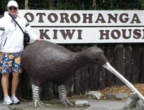 Rotorua – Waitomo Caves