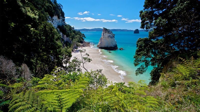 New Zealand Scenic Highlights