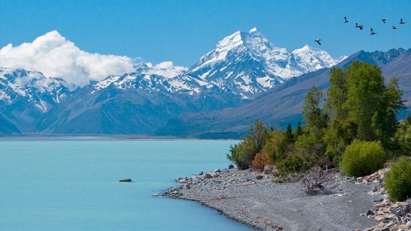 New Zealand Scenic Highlights