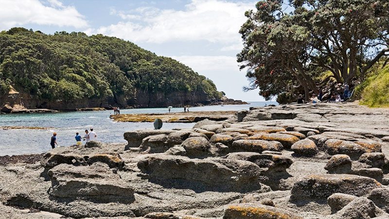 New Zealand - Scuba Diving and Snorkelling Locations