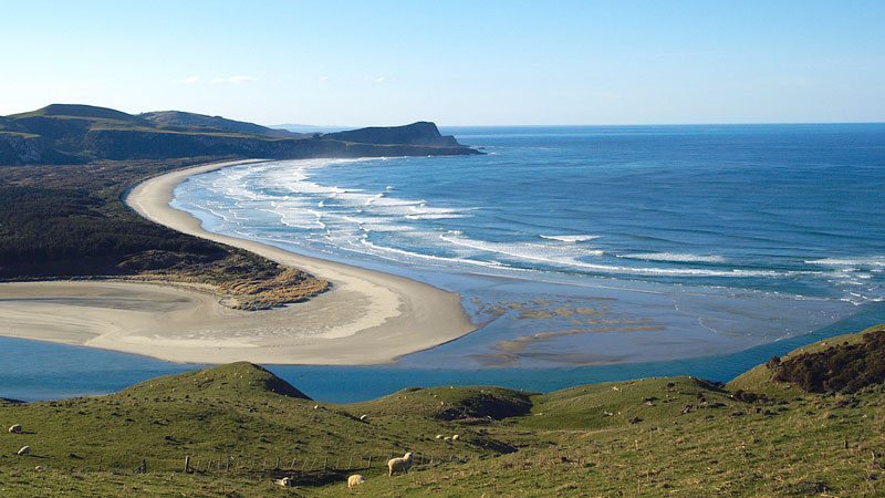 Surfing Locations in New Zealand