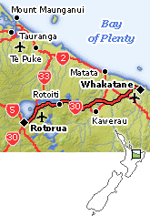 New Zealand Itineraries