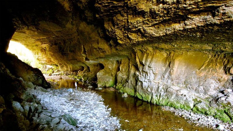 West Coast South Island Oparara Cave