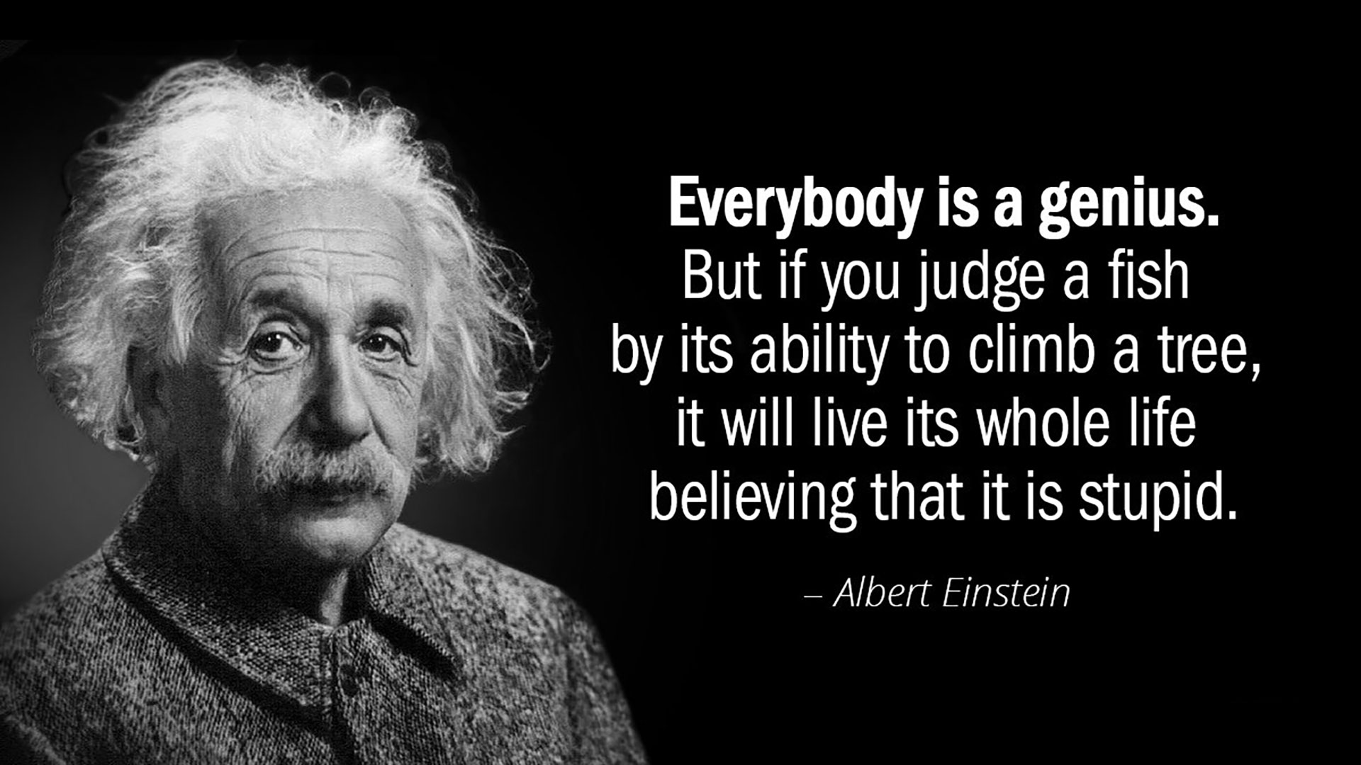 Albert Einstein Quotes