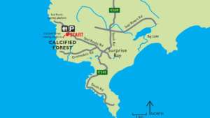 Calcified Forest King Island