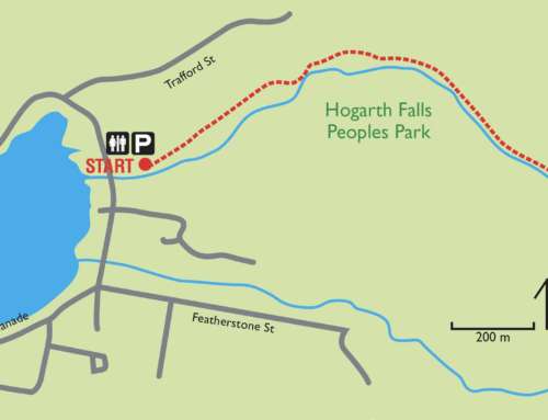 Hogarth Falls